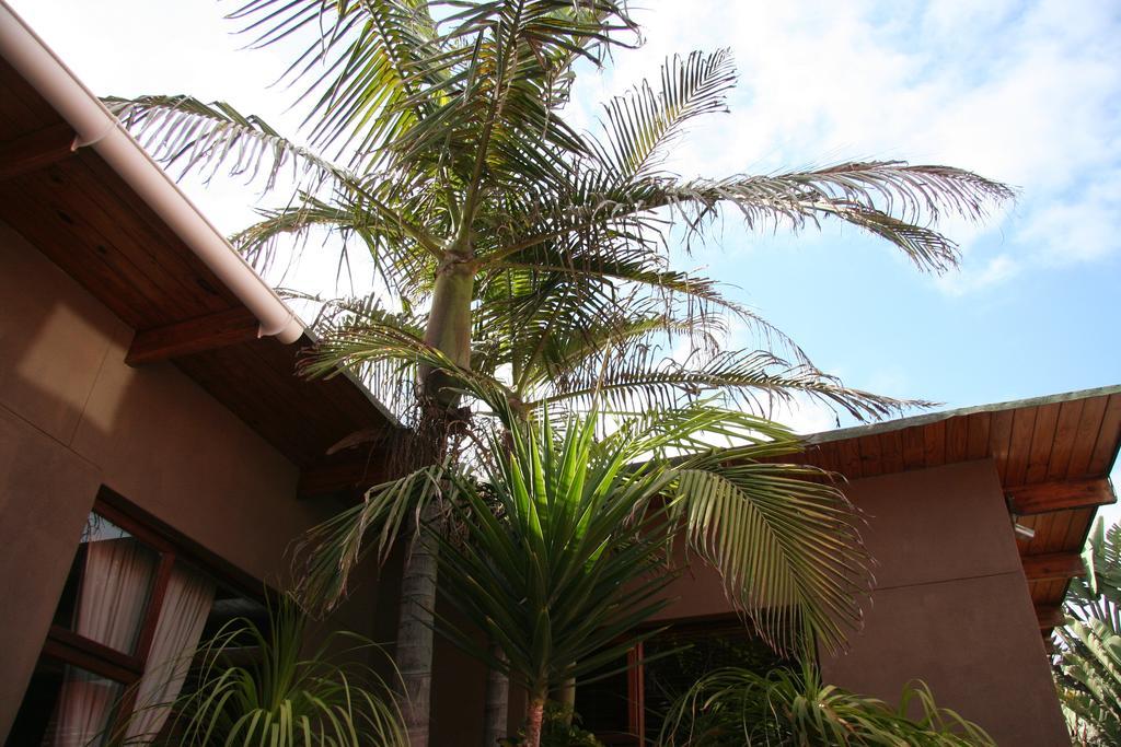 Dunedin Star Guesthouse Swakopmund Zewnętrze zdjęcie