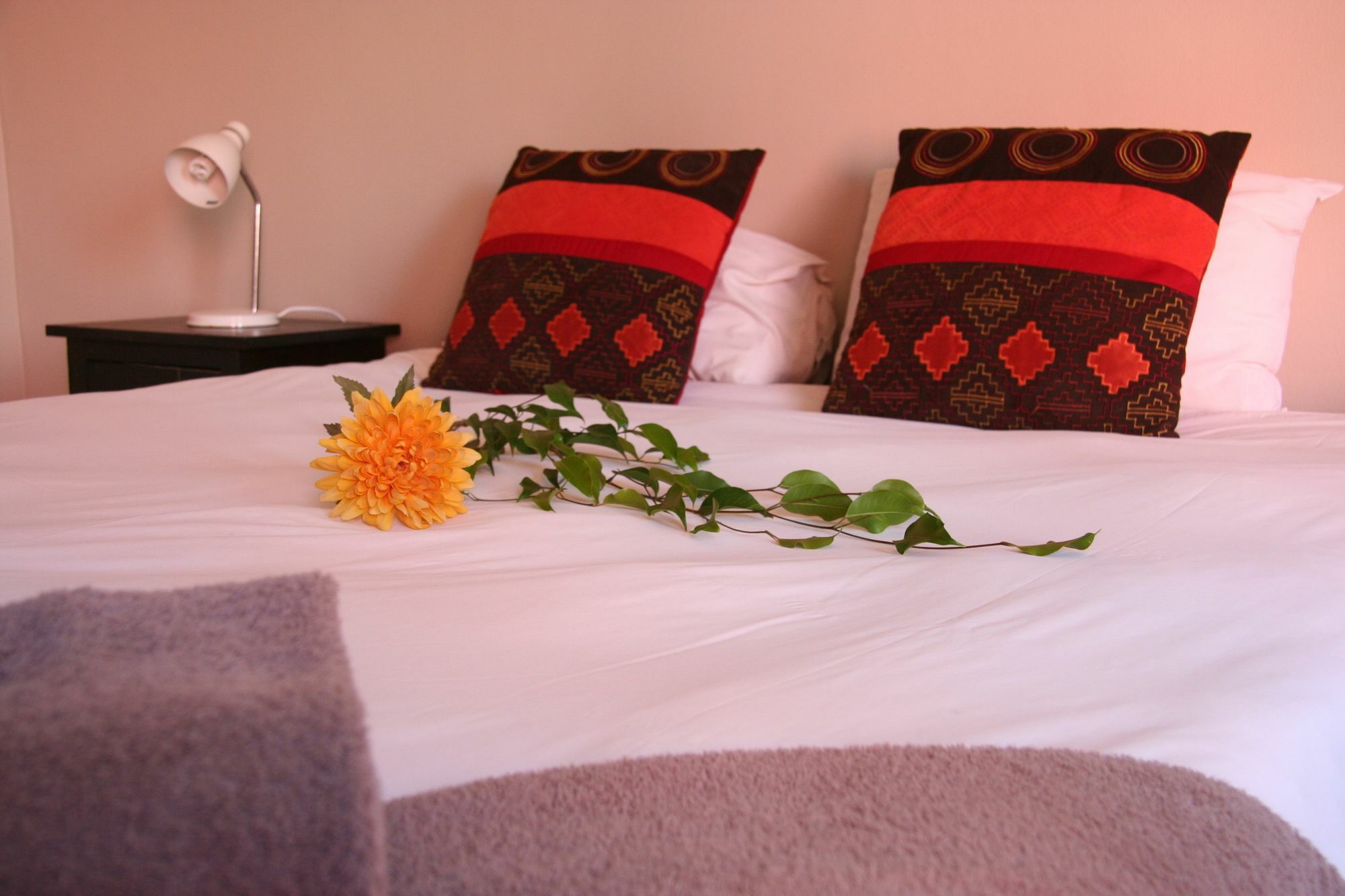 Dunedin Star Guesthouse Swakopmund Zewnętrze zdjęcie